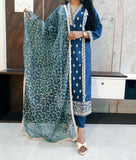 Party Wear Pakistani Suit