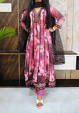 Organza Kalidar Anarkali Suit