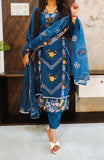 Blue Roman Silk Pakistani Suit