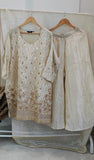 Tissue Shimmer Indo Western