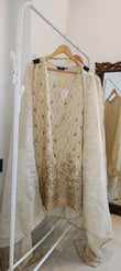 Tissue Shimmer Indo Western